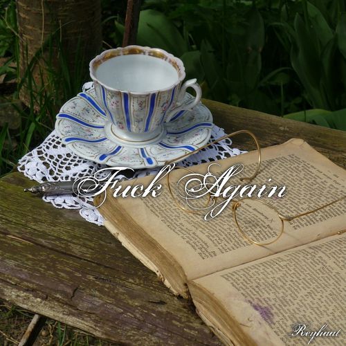 Fuck Again