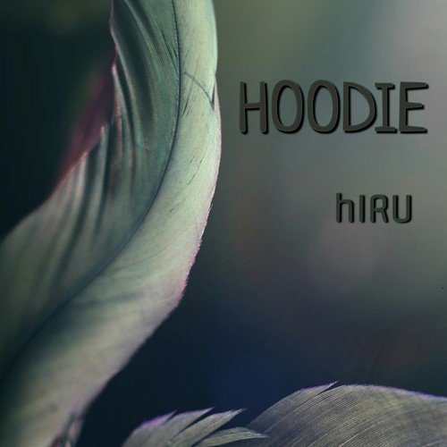 Hoodie_poster_image