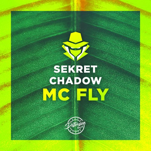 Mc Fly cover art
