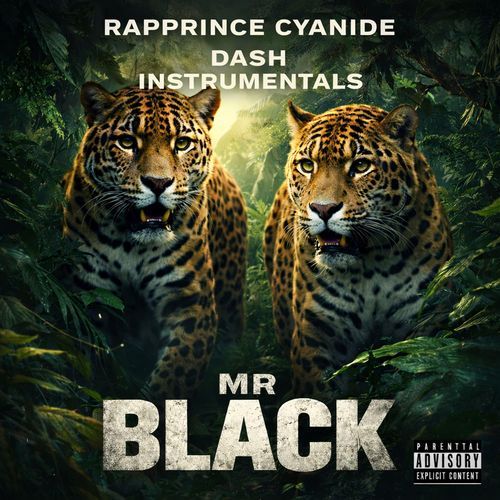 Mr Black cover art