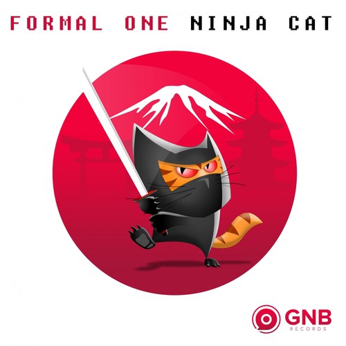 Ninja Cat_poster_image