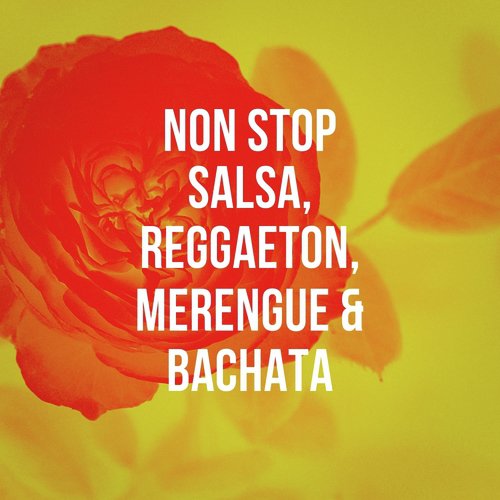 Non Stop Salsa, Reggaeton, Merengue & Bachata