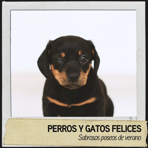 Musica para relajarse cover art
