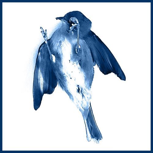 Happy Camper cover art