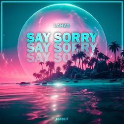 Say Sorry-IAsdVTd,ZlY