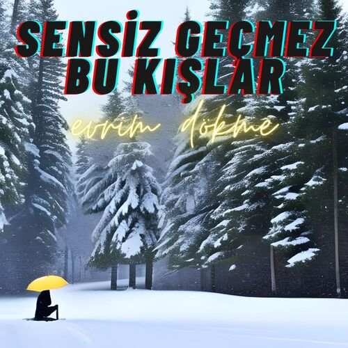 Sensiz Geçmez Bu Kışlar cover art