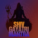 Shiv Gayatri Mantra