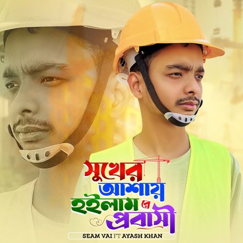 Sukher Asay Hoilam Probashi