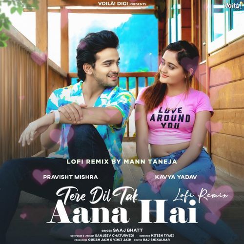 Tere Dil Tak Aana Hai (Lofi Remix)