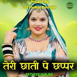 Teri Chhati Pe Chhappar-RixdSDJ,D1A