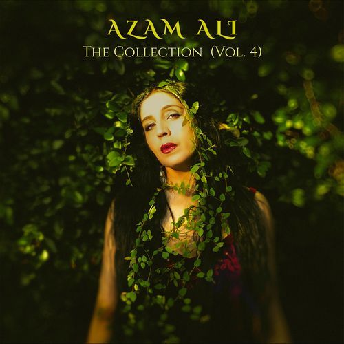 The Collection, Vol. 4