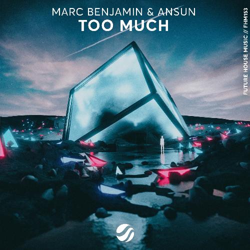 Too Much (Original Mix)