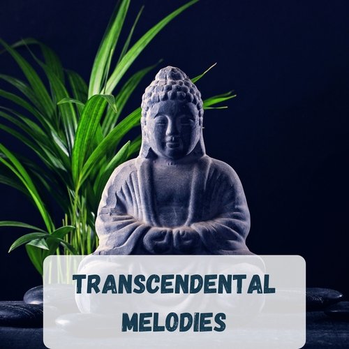 Transcendental Melodies: Soothing Buddhist Meditation Sounds for Inner Peace_poster_image