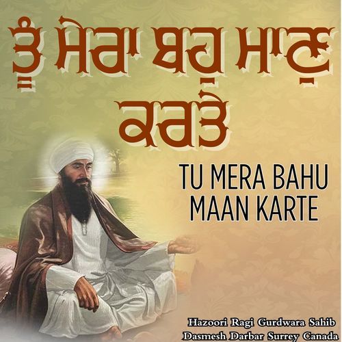 Tu Mera Bahu Maan Karte