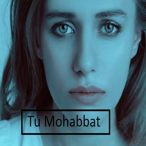 Tu Mohabbat_poster_image