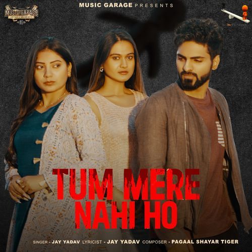 Tum Mere Nahi Ho_poster_image