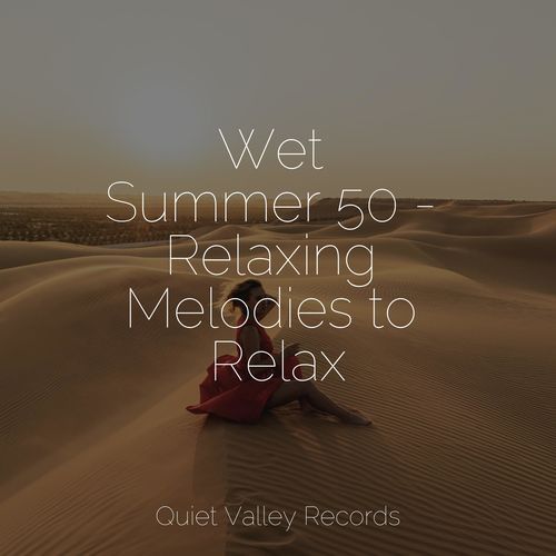 Wet Summer 50 - Relaxing Melodies to Relax