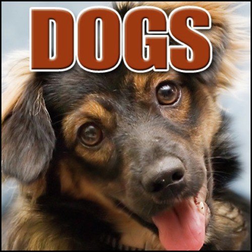 Animal, Dog - Large Dog Barking with Light Snarling Dogs, Greatest Sound Effects