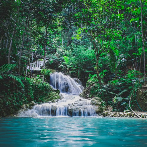 30 Restful Rain Recordings for Total Peace and Total Vibes