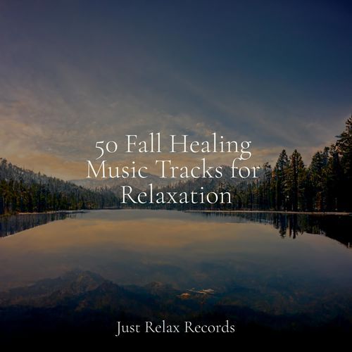 50 Fall Healing Music Tracks for Relaxation