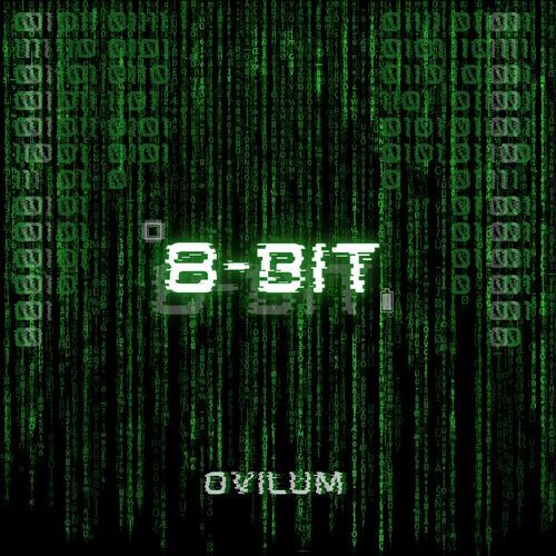 8 - BIT