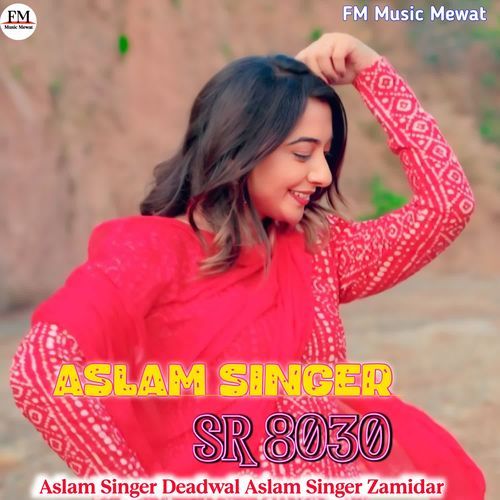 Aslam Singer SR 8030