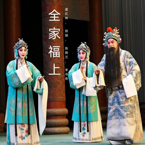 父亲韩英杰 cover art