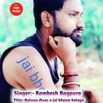 Bairwa Divas n jai bheem bolaga