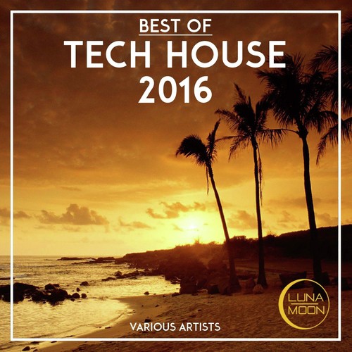 Best of Tech House 2016