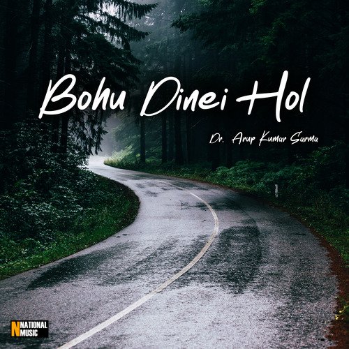 Bohu Dinei Hol - Single