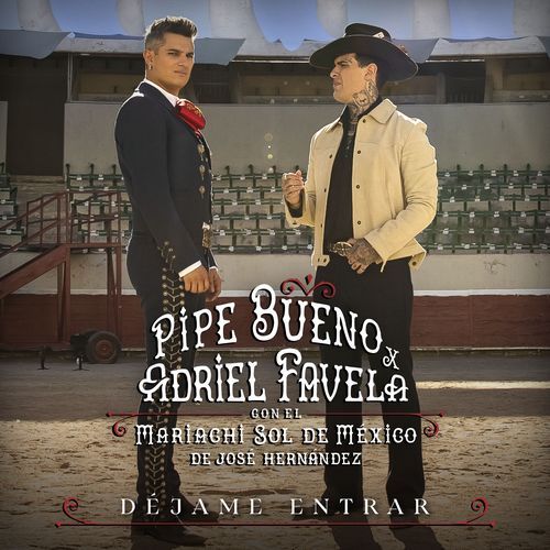 Déjame entrar (feat. Mariachi Sol De Mexico De Jose Hernandez) cover art