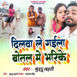 Dilwa Le Gaila Botal Me Bharike
