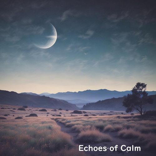 Echoes of Calm_poster_image