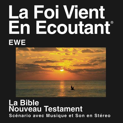 Ewe New Testament (Dramatized)