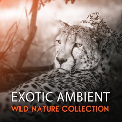 Exotic Ambient (Wild Nature Collection)