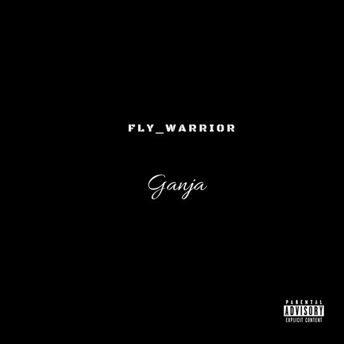 Fly_Warrior_poster_image