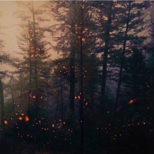 Garden of Embers cover art