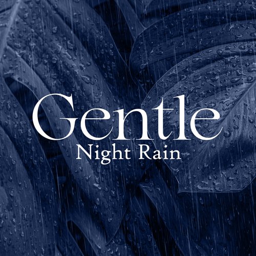 Gentle Night Rain: Restorative Sleep, Relaxation, Better Concentration_poster_image