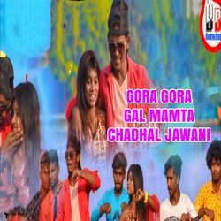 Gora Gora Gal Mamta Chadhal Jawani