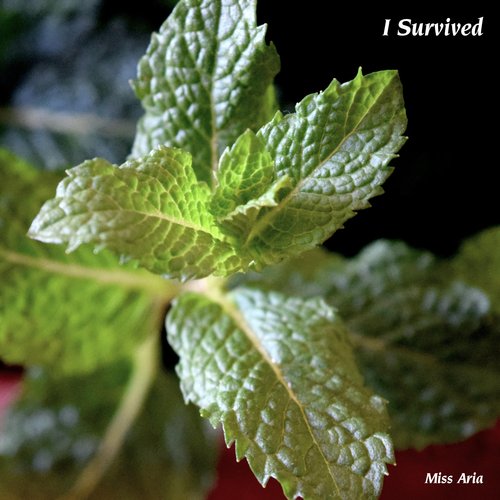 I Survived_poster_image