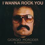 I Wanna Rock You (Shakedown Mix)