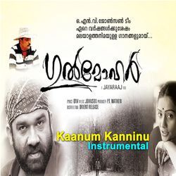 Kaanum Kanninu (Instrumental)-Ki4OekIGAmE