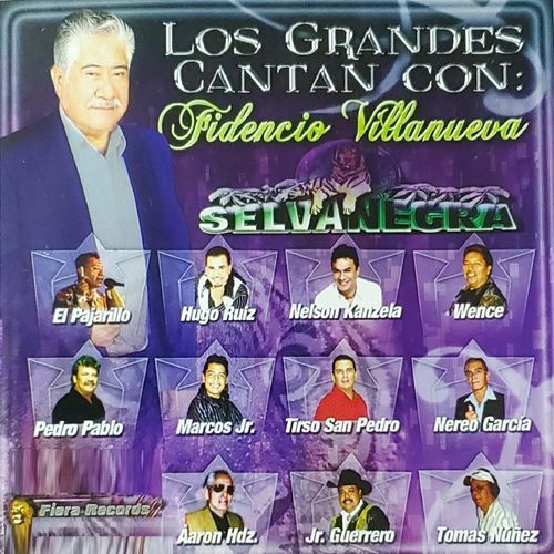 Traicionera Ft. Wence Y Su Grupo cover art