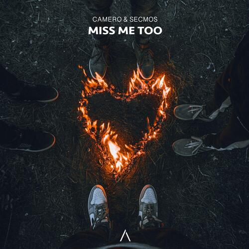 Miss Me Too_poster_image