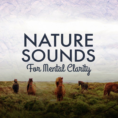 Nature Sounds for Mental Clarity_poster_image