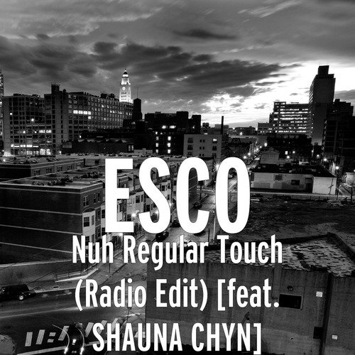 Nuh Regular Touch (Radio Edit) [feat. Shauna Chyn]