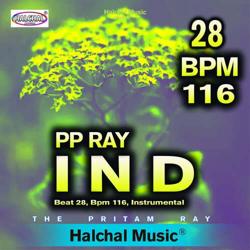 Pp Ray Ind Beat 28, Bpm 116, Instrumental