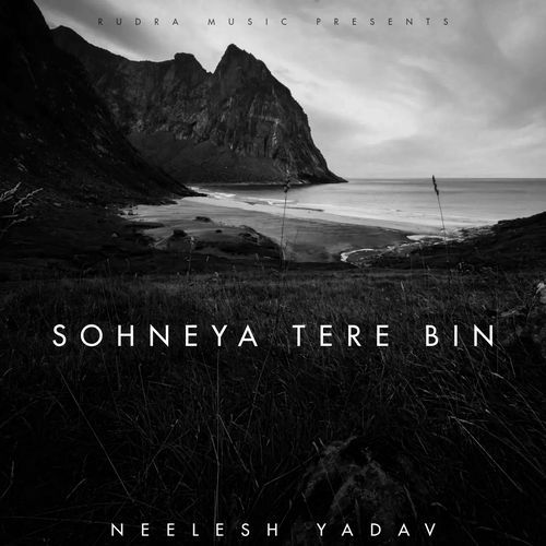 Sohneya Tere Bin