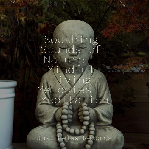 Soothing Sounds of Nature | Mindful Living Melodies | Meditation