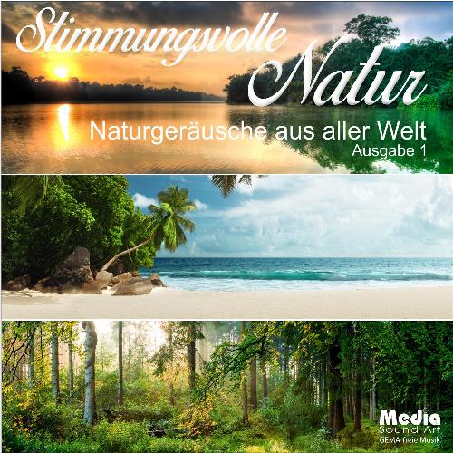 An einem großen See, mittags im Sommer (Live) cover art